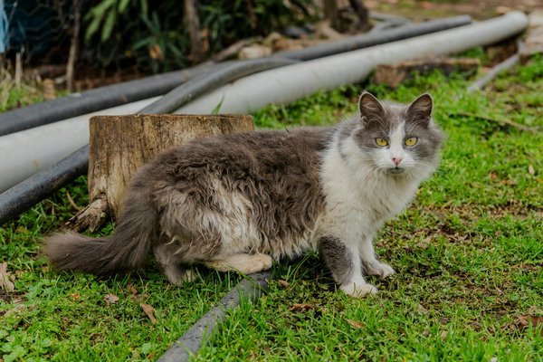 Complémentaire santé pas chère : comment faire le bon choix ?